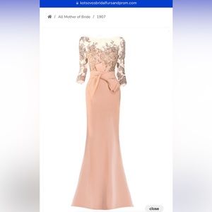 Stunning, gorgeous gown with lace and beaded bodice, mother of the bride/groom